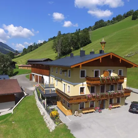 Saalachblick Apartment Viehhofen